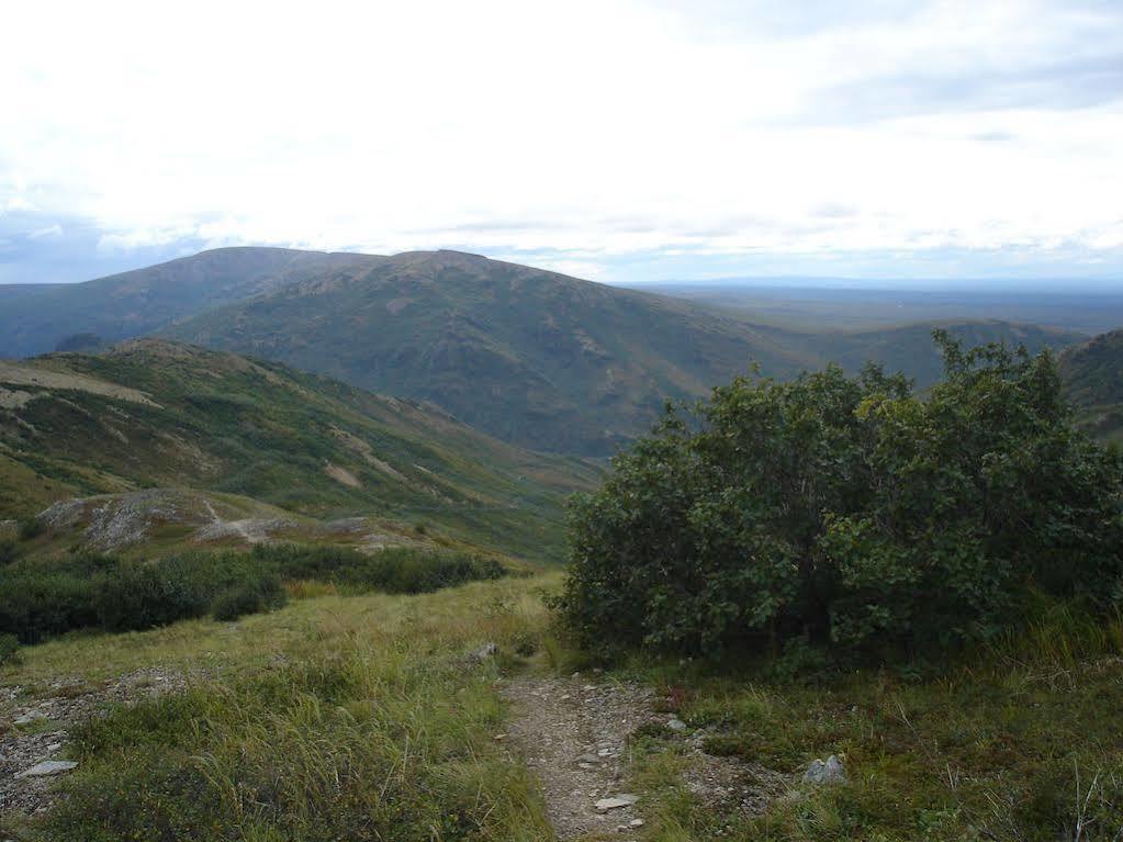 Denali Backcountry Lodge ภายนอก รูปภาพ